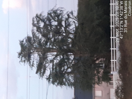 Image d'illustration pour : AR 76/100