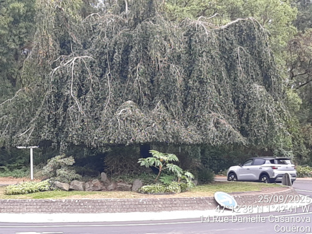 Image d'illustration pour : AR 77/100