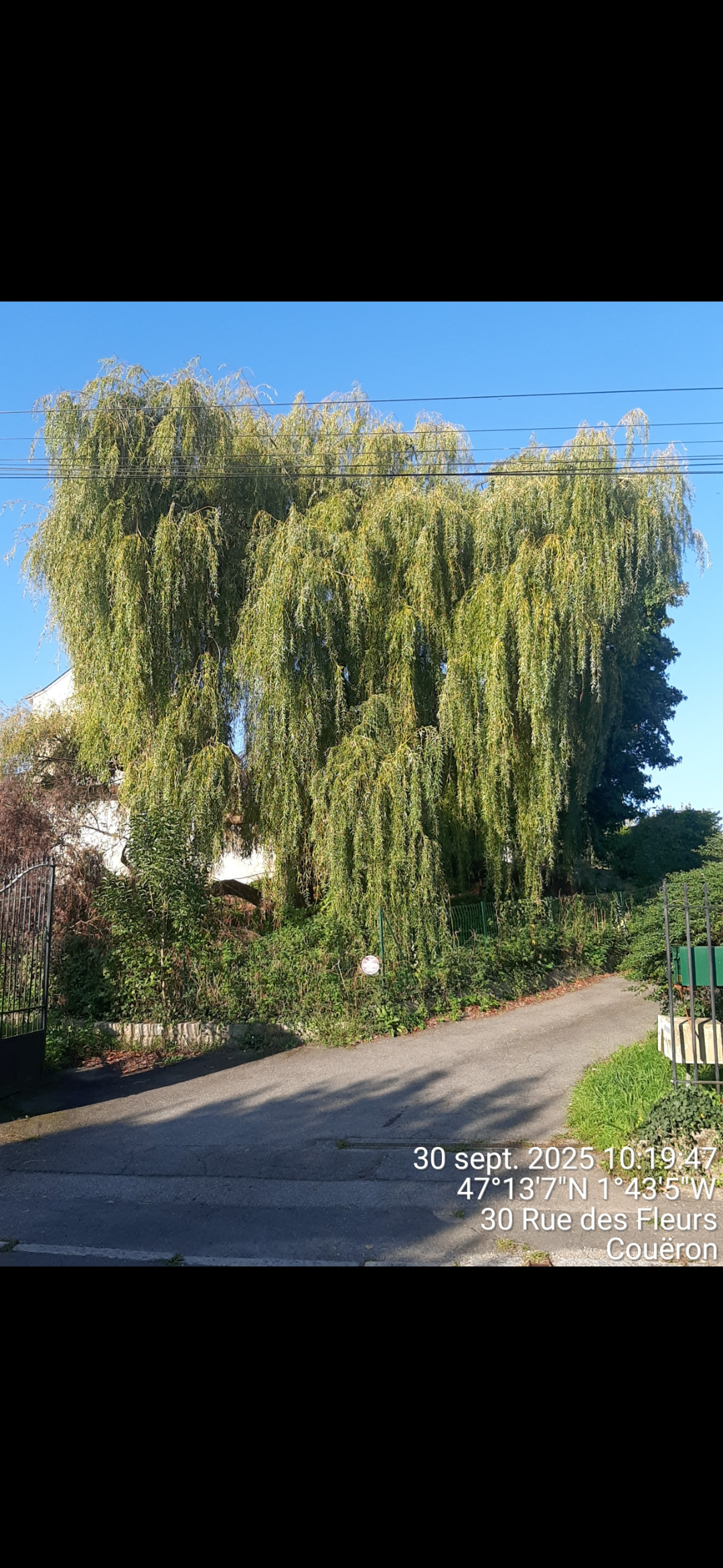 Image d'illustration pour : AR 78/100