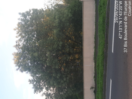 Image d'illustration pour : AR 80/100