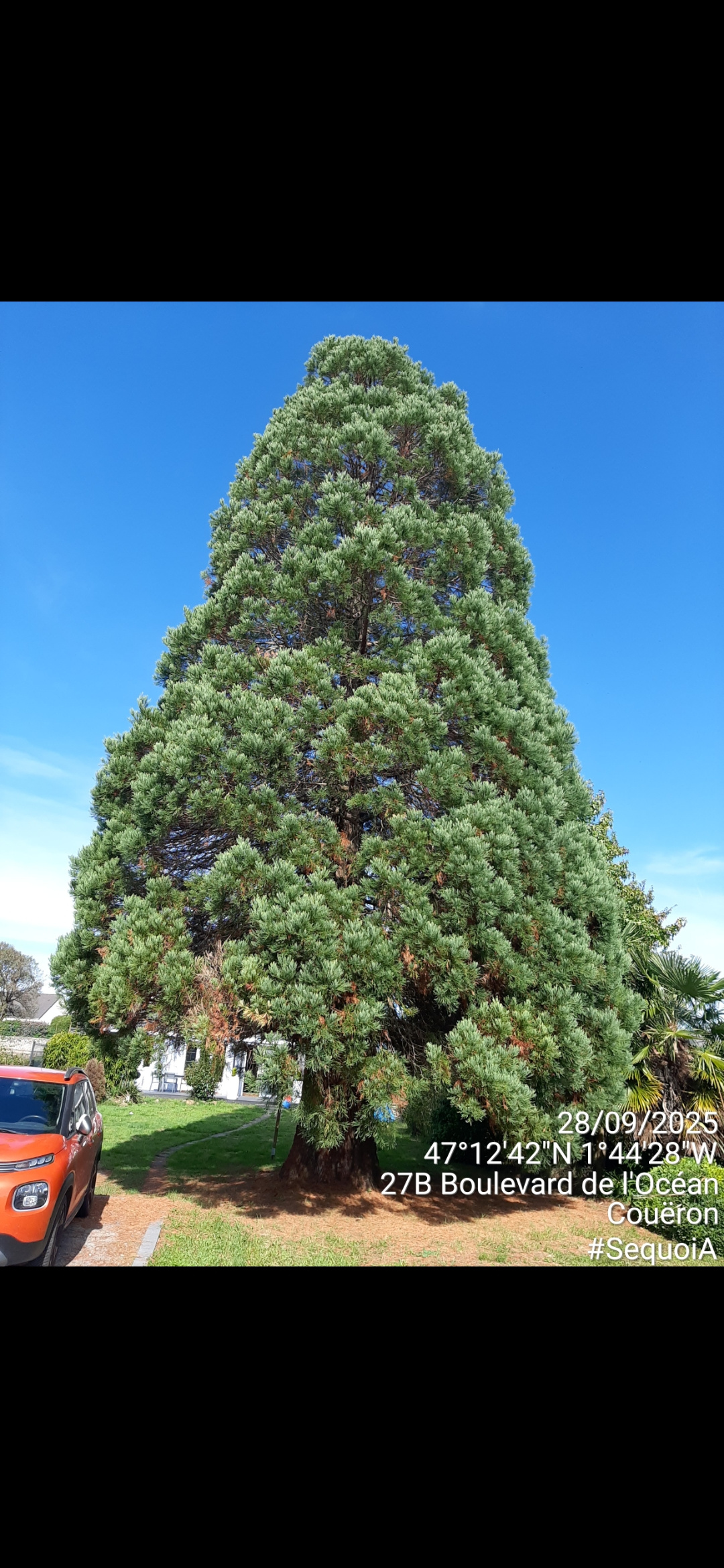 Image d'illustration pour : AR 81/100