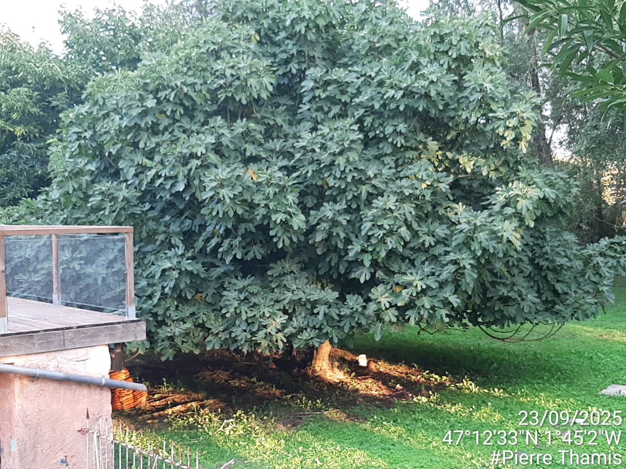 Image d'illustration pour : AR 83/100 Image d'illustration pour : AR 83/100