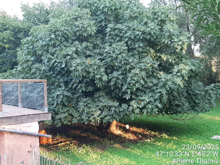 Image d'illustration pour : AR 83/100 Image d'illustration pour : AR 83/100