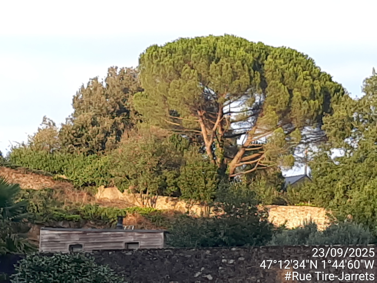 Image d'illustration pour : AR 84/100 Image d'illustration pour : AR 84/100