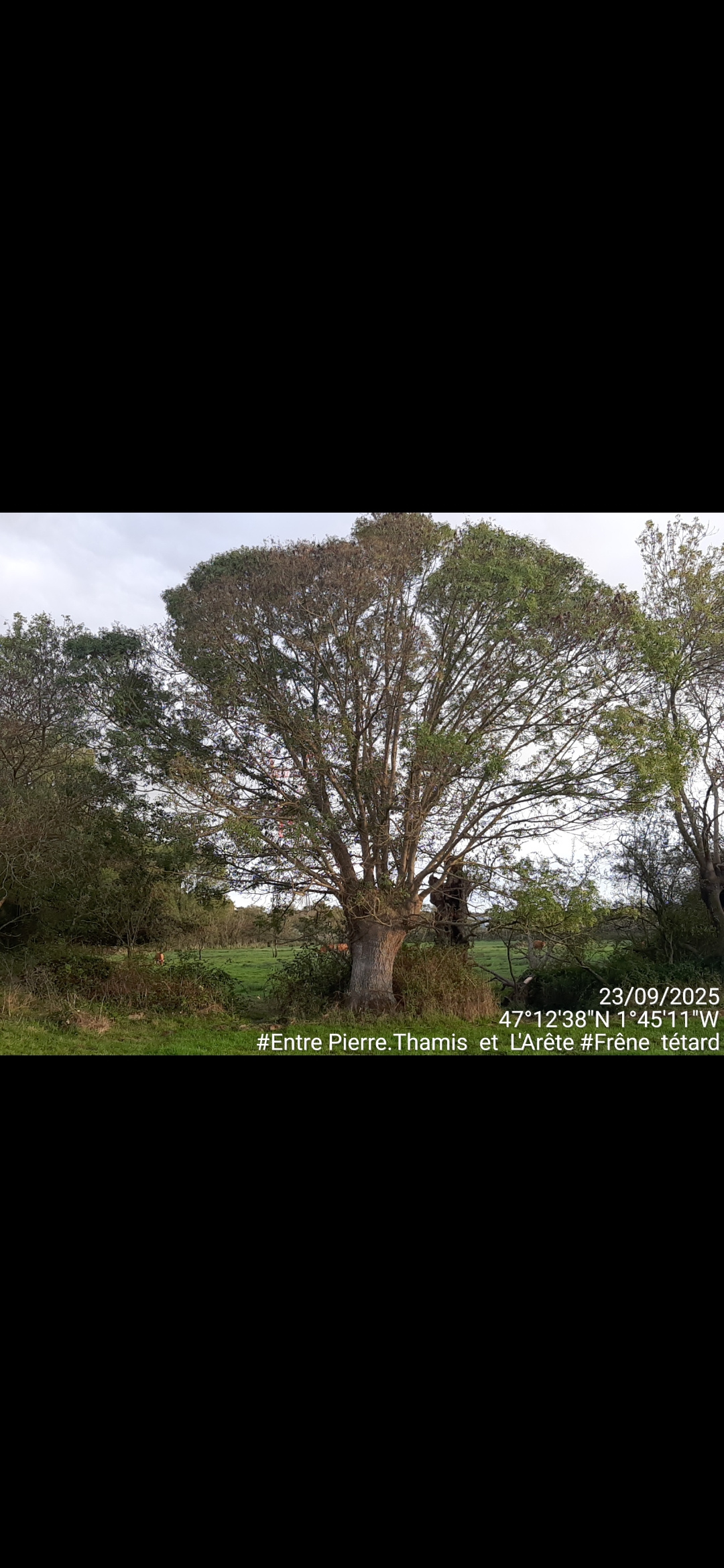 Image d'illustration pour : AR 85/100 Image d'illustration pour : AR 85/100