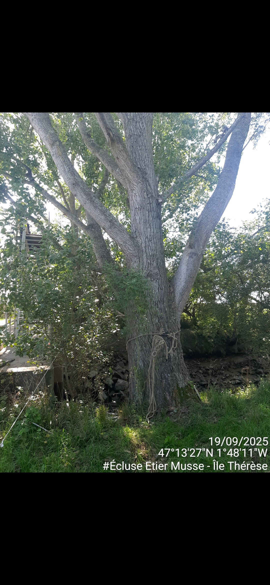 Image d'illustration pour : AR 87/100 Image d'illustration pour : AR 87/100