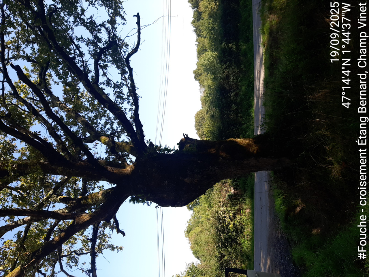 Image d'illustration pour : AR 88/110 Image d'illustration pour : AR 88/110