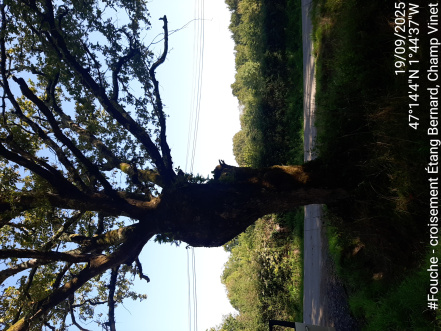 Image d'illustration pour : AR 88/110 Image d'illustration pour : AR 88/110