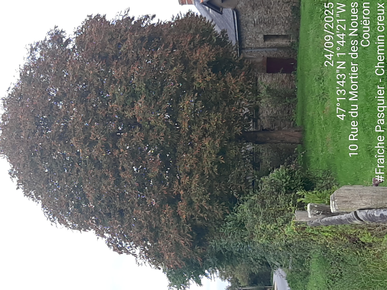 Image d'illustration pour : AR 89/100 Image d'illustration pour : AR 89/100