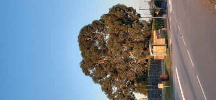 Image d'illustration pour : Inconnu Image d'illustration pour : Inconnu