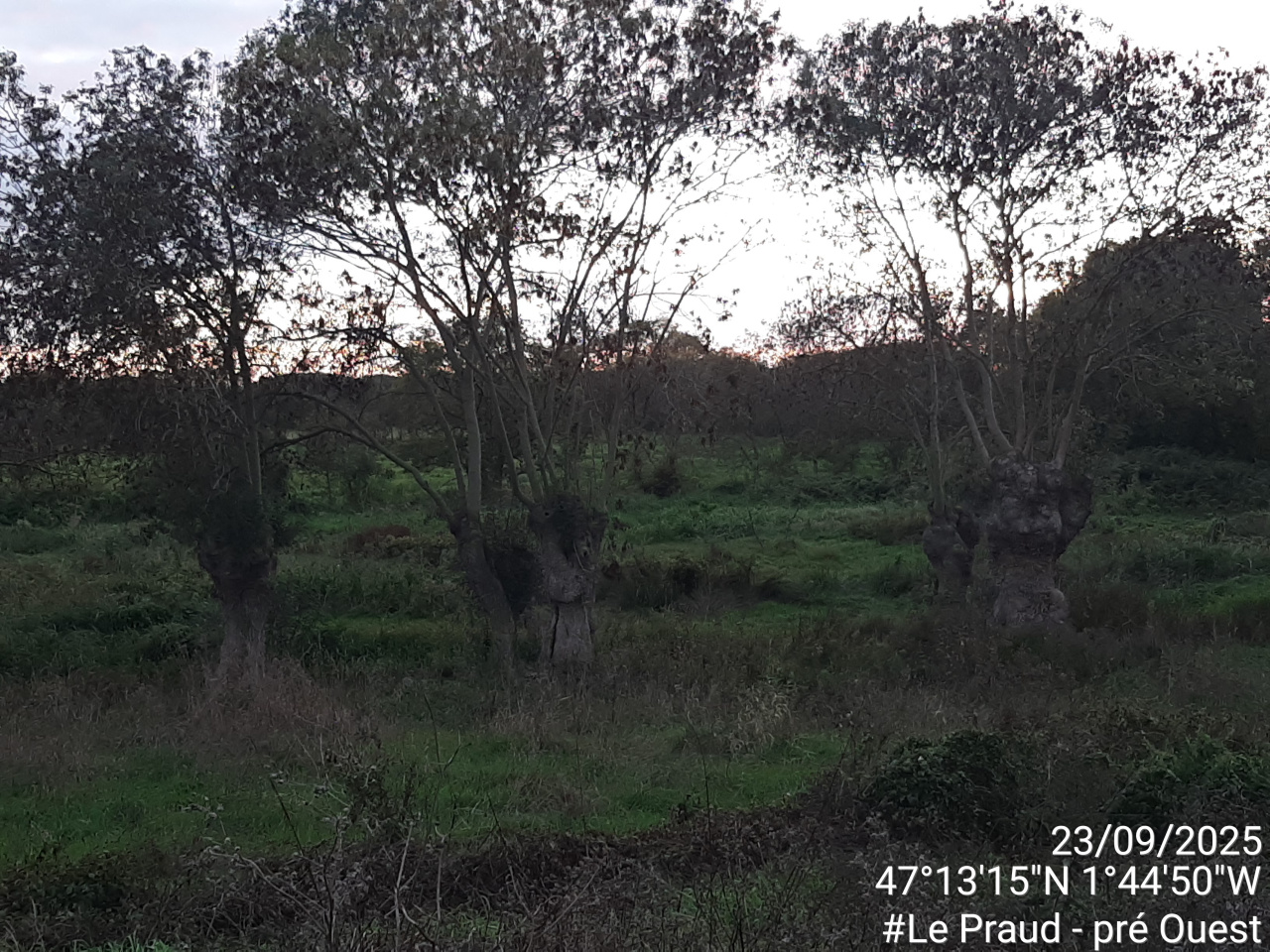 Image d'illustration pour : AR 91/100 Image d'illustration pour : AR 91/100