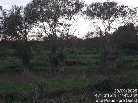 Image d'illustration pour : AR 91/100 Image d'illustration pour : AR 91/100