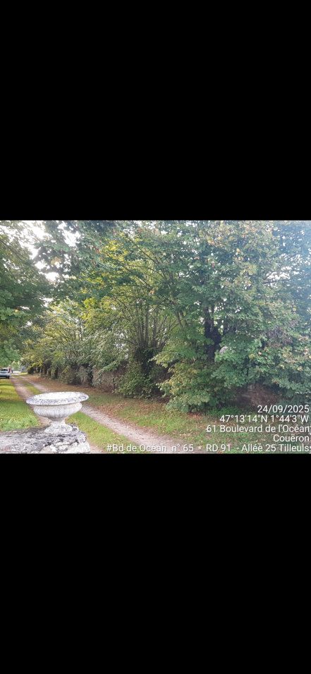 Image d'illustration pour : AR 95/100 Image d'illustration pour : AR 95/100