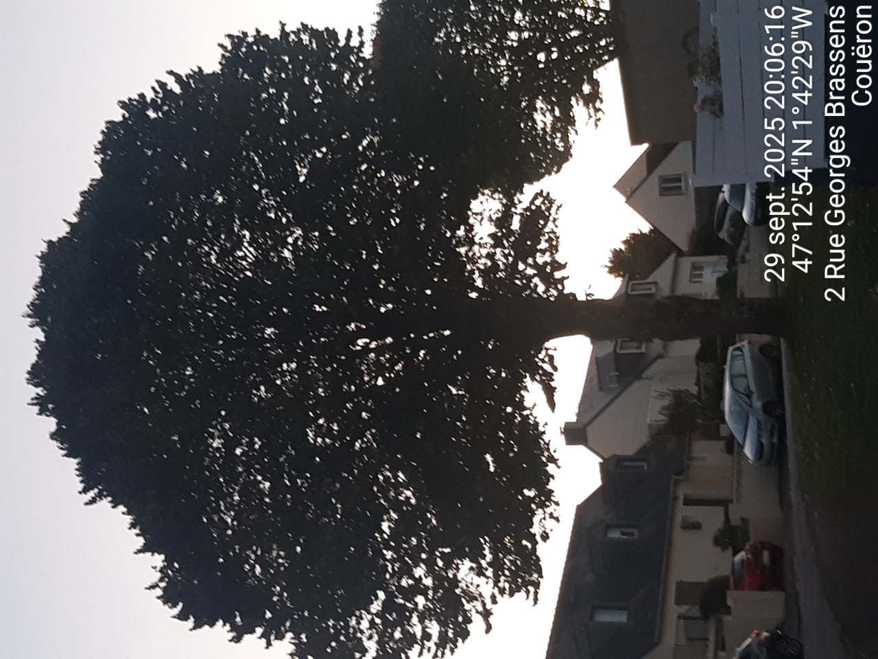 Image d'illustration pour : AR 96/100 Image d'illustration pour : AR 96/100