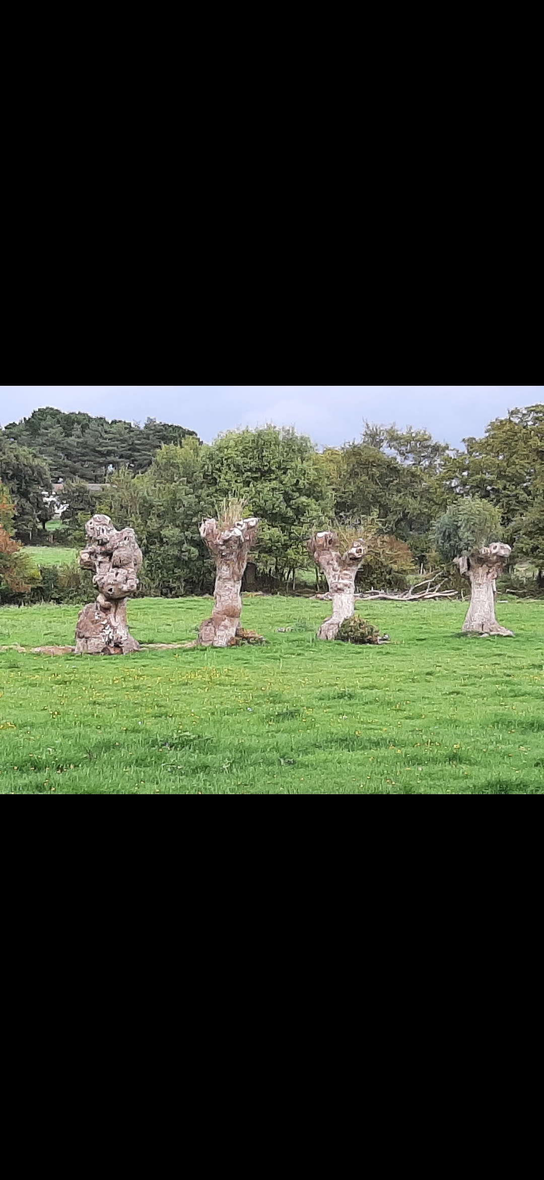 Image d'illustration pour : AR 97/100 Image d'illustration pour : AR 97/100