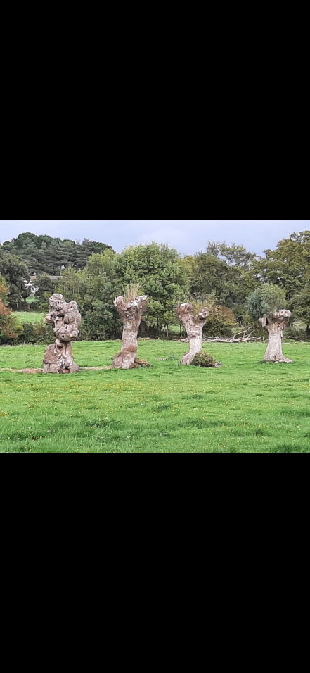 Image d'illustration pour : AR 97/100 Image d'illustration pour : AR 97/100