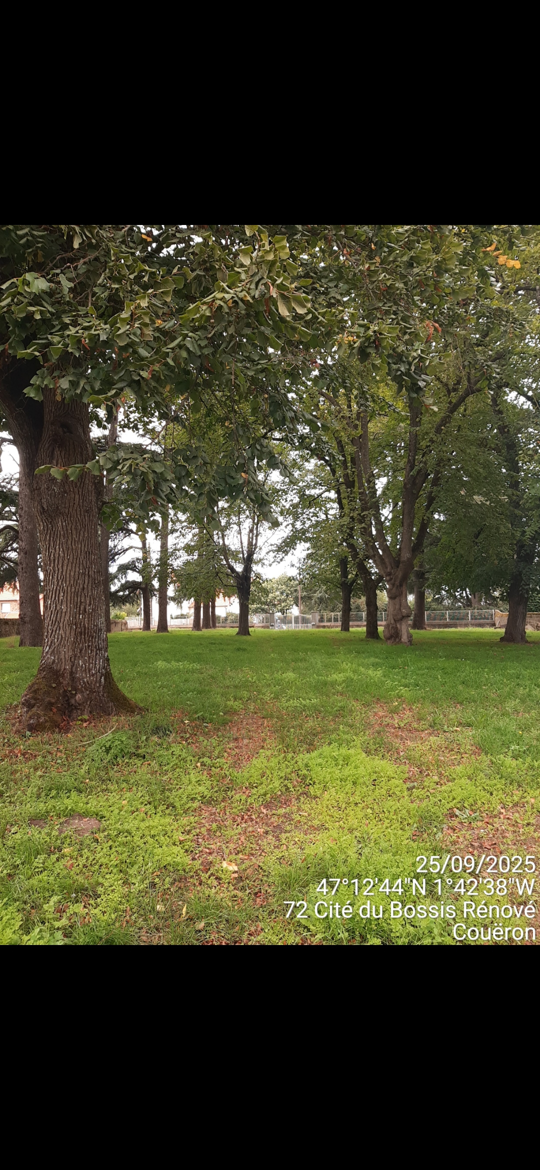 Image d'illustration pour : AR 98/100 Image d'illustration pour : AR 98/100