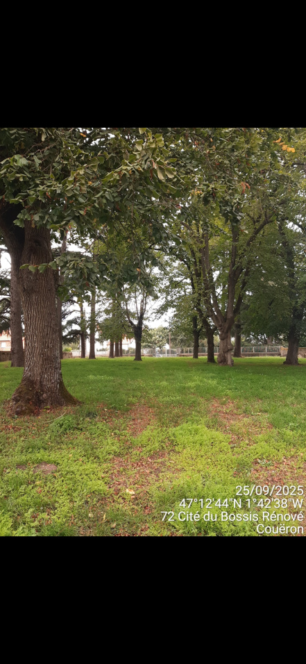 Image d'illustration pour : AR 98/100 Image d'illustration pour : AR 98/100