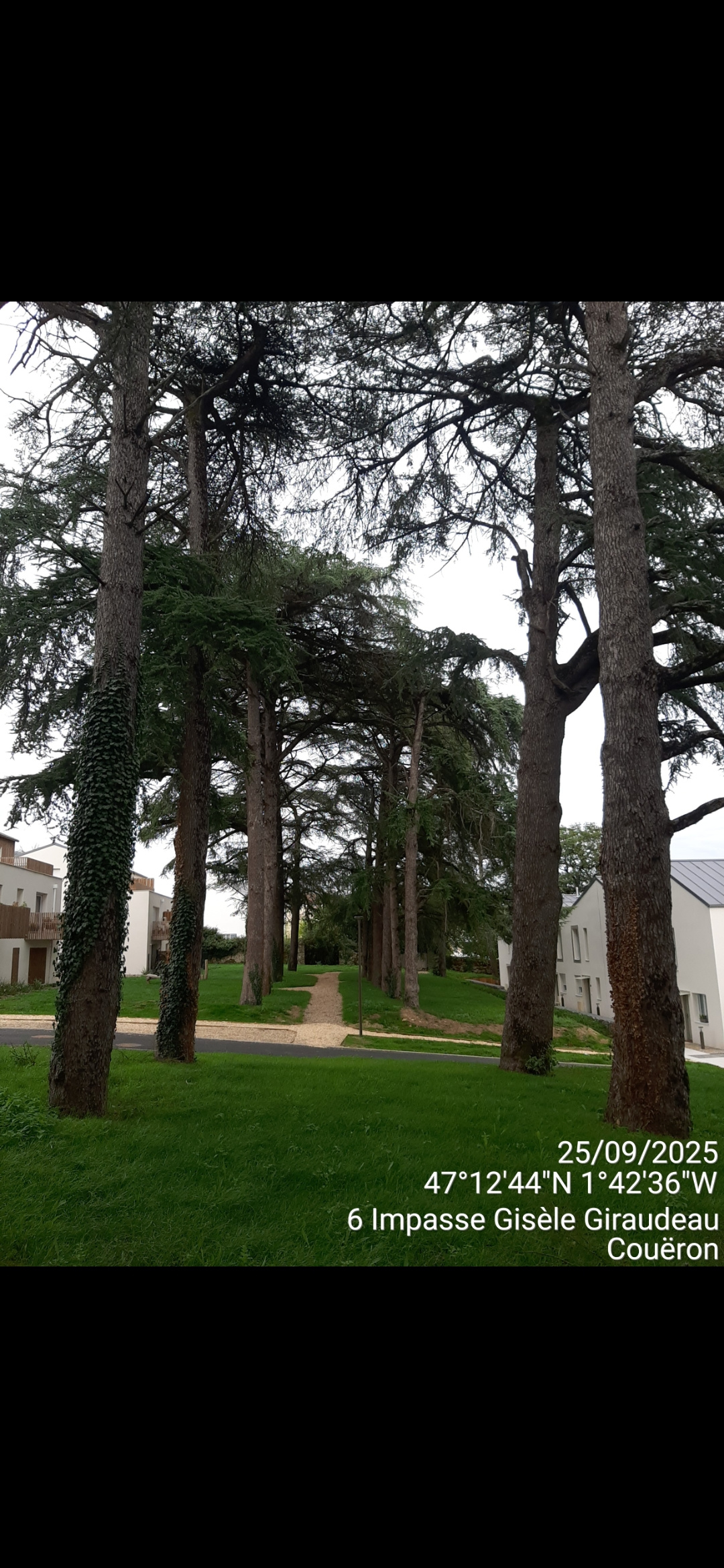 Image d'illustration pour : AR 99/100 Image d'illustration pour : AR 99/100