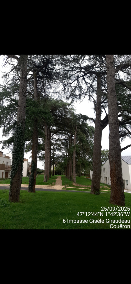 Image d'illustration pour : AR 99/100 Image d'illustration pour : AR 99/100